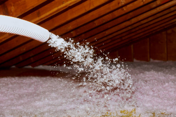 Best Types of Insulation in Rogersville, AL