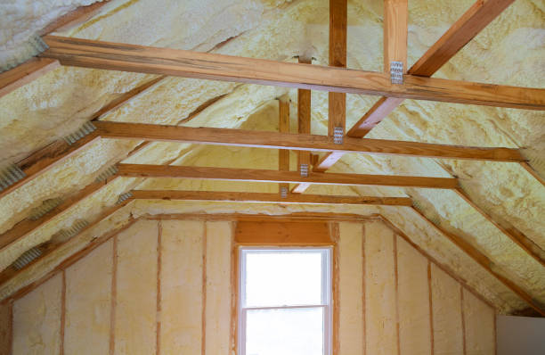 Best Commercial Insulation in Rogersville, AL