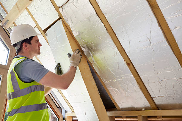 Best Insulation Installation Services in Rogersville, AL